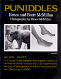 Puniddles (book cover)