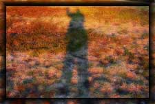 Click for the Sunset Walk