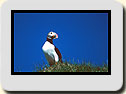 Click to send as a postcard