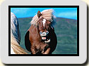 Click to send as a postcard