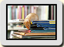Click to send as a postcard